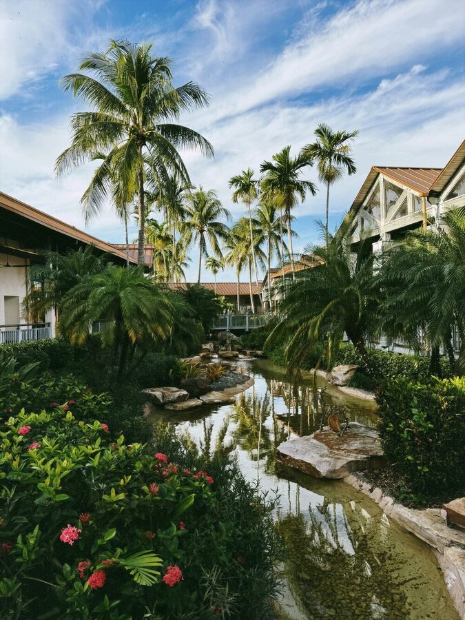 Tropical grounds of a Grackle-managed property, with a garden stream lined with palm trees