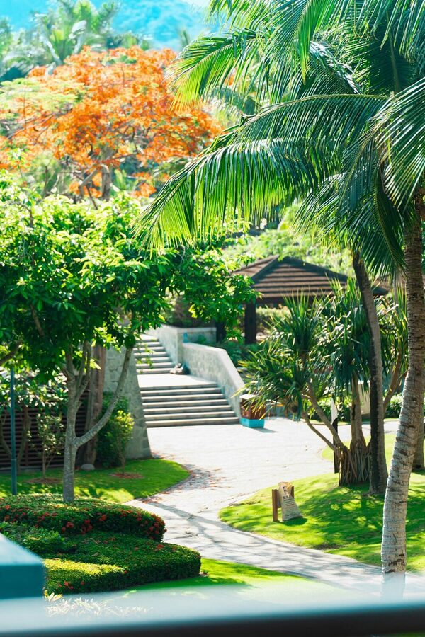 A garden path leading up to a Grackle-managed cottage, lined with palms and flowering trees