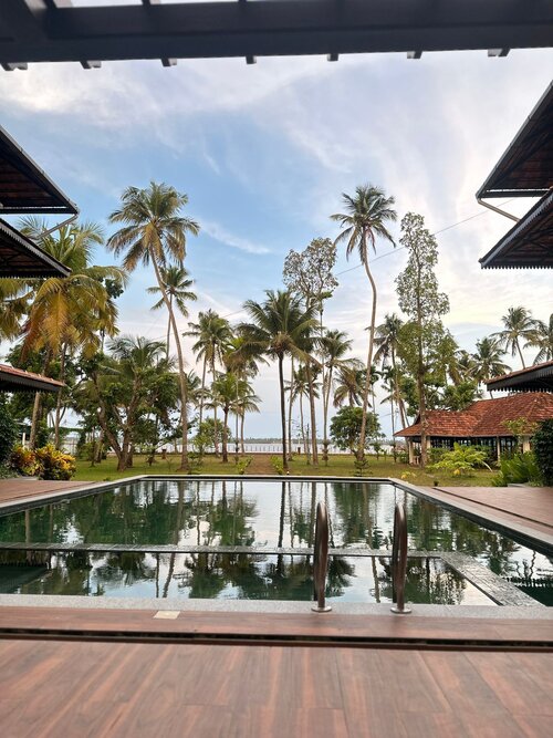 Swimming pool deck framed by palm trees